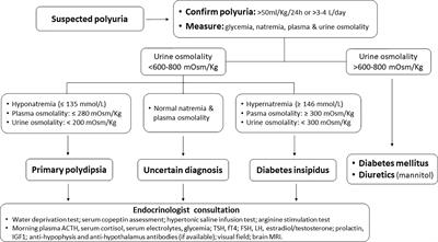 Immune Checkpoint Inhibitor-Induced Central Diabetes Insipidus: Looking for the Needle in the Haystack or a Very Rare Side-Effect to Promptly Diagnose?